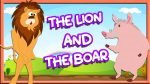 Lion and the Boar Story