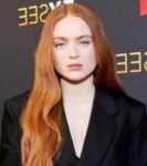 Sadie Sink Biography