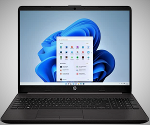 HP 255 G8 Business Laptop with AMD Athlon Silver 3050U